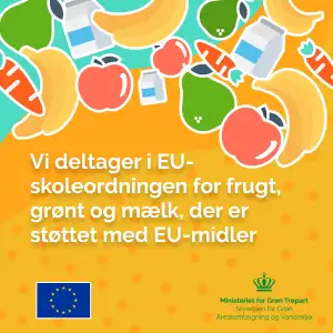 Vi deltager i EU-skoleordningen
